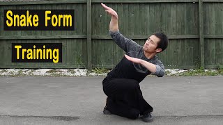 Shaolin Kung Fu Wushu Snake Style Training 🐍 [upl. by Engle]