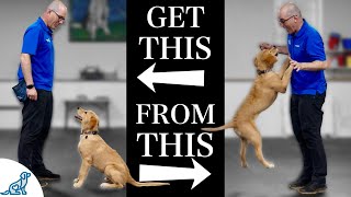 Teach Your Dog To Stop Jumping Up In 4 Simple Steps [upl. by Meesak]