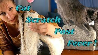 How To  Repairing the CARPET on A CAT’S SCRATCH POST and How to Select Healthy Carpet [upl. by Ruiz]