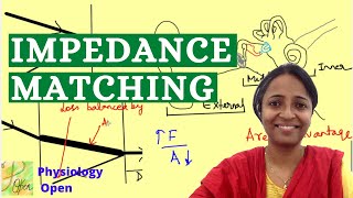 Impedance matching Physiology of hearing  Auditory system physiology mbbs 1st year lecture [upl. by Madian222]