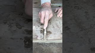 Lime pointing on York flagstones Looking forward to sharing this one with you 😍 paving asmr [upl. by Jaret]