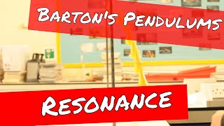 Bartons Pendulums Resonance and Forced Oscillations  A Level Physics Revision [upl. by Orimisac]