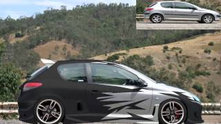 peugeot 206 look tuning [upl. by Jareen681]