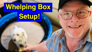 Whelping Box Setup DIY Find Out How To Do It [upl. by Ticon]