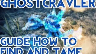 🎮 WoW Hunter Guide Taming Ghost Crawler Rare Spirit Beast Crab 🎮 [upl. by Aneehs]