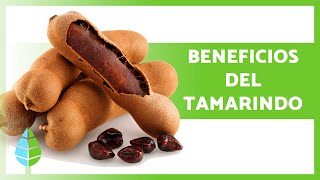 PROPIEDADES y BENEFICIOS del TAMARINDO 🥜✅ Para qué SIRVE Cómo Tomarlo y Contraindicaciones [upl. by Ahsayn]