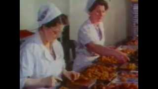 The Bournville Story A film of the Factory in a Garden 1953 [upl. by Morly]