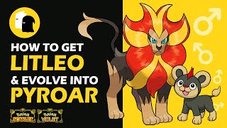 How to Get MALE LITLEO amp Evolve Into PYROAR Pokemon Scarlet and Violet MALE LION [upl. by Attenauqa813]