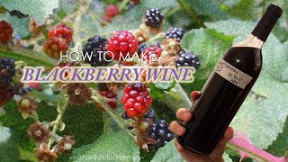 How To Make Blackberry Wine at Home Part 2 Secondary Fermentation [upl. by Akessej]