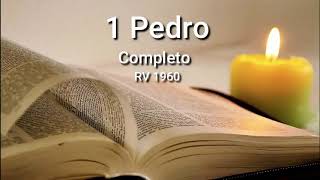 1 PEDRO Completo Biblia Hablada ReinaValera 1960 [upl. by Liponis]