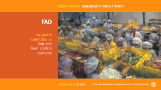 Food Safety Emergency Prevention [upl. by Enuahs]