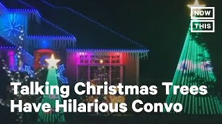 Holiday Display Features Two Bickering Christmas Trees  NowThis [upl. by Kenn164]