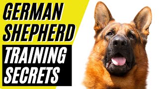 7 German Shepherd Training Secrets  GSD Training [upl. by Jabez]