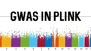 GWAS in Plink [upl. by Schafer824]