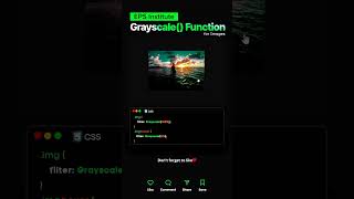 quotMastering the Grayscale Function in CSS  Web Design Tipsquot©odingshorts [upl. by Adnarrim]