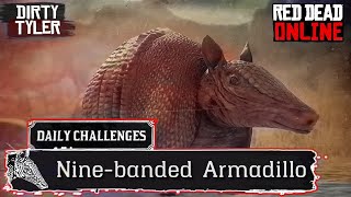 Nine banded Armadillo location RDR2  Red Dead Online Nine Banded Armadillo [upl. by Seravart185]