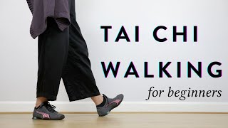 Tai Chi for Beginners  Chinese Tai Chi Chuan [upl. by Strander]