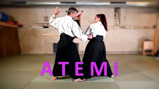 The use of ATEMI in Aikido  Aikido Virtual Dojo [upl. by Ainyt]