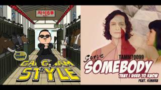 Gotye feat Kimbra vs PSY  Somebody That I Used To Know vs Gangnam Style Mashup Remix [upl. by Luapsemaj]