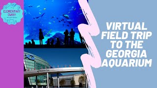 Georgia Aquarium Virtual Field TripTour [upl. by Debra]