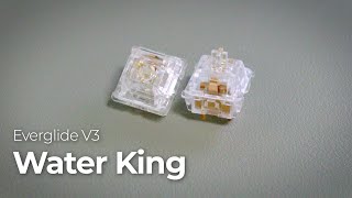 Everglide V3 Aqua King Switches Review  워터킹아쿠아킹 [upl. by Gretal]