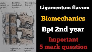 ligamentum flavum biomechanics in tamil ligaments of spinebiomechanics of spinebptbiomechanics [upl. by Suhploda]