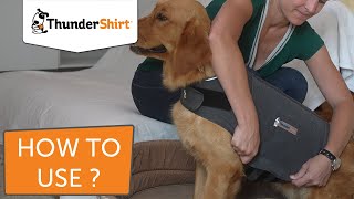 How to use ThunderShirt [upl. by Ardnahsal100]