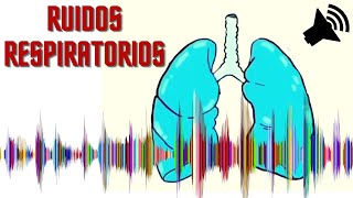 ♐ Crepitantes Sibilantes Roncus Estridor y Murmullo Vesicular Normal 🎓 Semiologia Respiratória [upl. by Nellaf937]