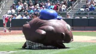 World famous ZOOperstars perform at Raley Field [upl. by Cassell]