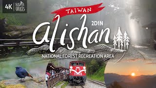 Taiwan Vlog 1 Alishan National Forest  Scenic Forest Railway Ride  Sunrise  Chill Hike [upl. by Eartha]