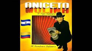 Aniceto Molina La Cumbia Sampuesana [upl. by Boony370]