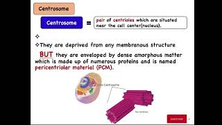 Cell Biology  Ch11– Cytoskeleton Part 2 Microtubules [upl. by Gnuoy56]