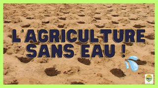 Cultiver sans EAU ou la technique ancestrale du ZAÏ  conseils [upl. by Pani]