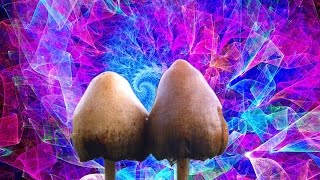 What magic mushrooms do to your brain and body [upl. by Yerga253]