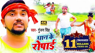 Dhaan Ke Ropayi  Gunjan Singh Live Video Song 2020  New Bhojpuri Song 2020 [upl. by Nyloc]