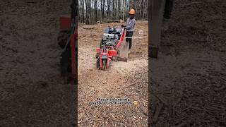 Barretto 30sg stump grinder stumpgrinding Barreto mulch junkremoval BarretoMfg [upl. by Lukin]