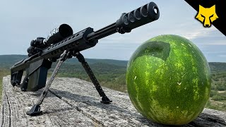 50 Cal vs Watermelon [upl. by Campos]