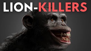 The Truth about Bondo  Bili Apes [upl. by Bree]