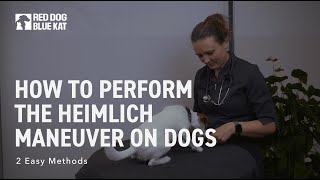 Pet First Aid How to Perform the Heimlich Maneuver on Choking Dogs [upl. by Latta]