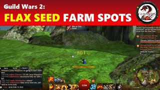 Guild Wars 2 Easy Flax Seed Farming Locations [upl. by Nets]