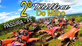 2° TRILHA DO MILHO  PASSIRA  PERNAMBUCO [upl. by Findlay940]