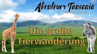 Die große Tierwanderung  Tansania in 100 Sekunden  Abenteuer Tansania [upl. by Nnaeirual]