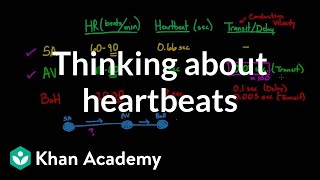 Thinking about heartbeats  Circulatory system physiology  NCLEXRN  Khan Academy [upl. by Suiratnod]