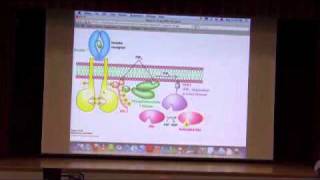 Signaling III  Metabolic Control I [upl. by Madaih]