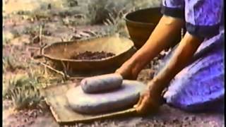 Pine Nuts the Movie Paiute Shoshone amp Washo pine nut harvesting and preparation [upl. by Australia620]