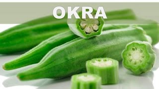 Estos son los 5 mejores beneficios de la Okra o Quimbombó para la salud del organismo [upl. by Daniella]