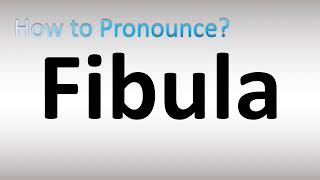 How to Pronounce Fibula [upl. by Yetah]