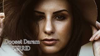 ARASH amp HELENA  Dooset Daram ZERRID Remix [upl. by Ender527]