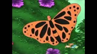 Go Diego Go  Orange and Black Butterfly Scene [upl. by Rutherfurd]