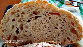 PANE FACILISSIMO FATTO IN CASA il pane con gli alveoli grandi di videoricetteinsieme [upl. by Atenek]